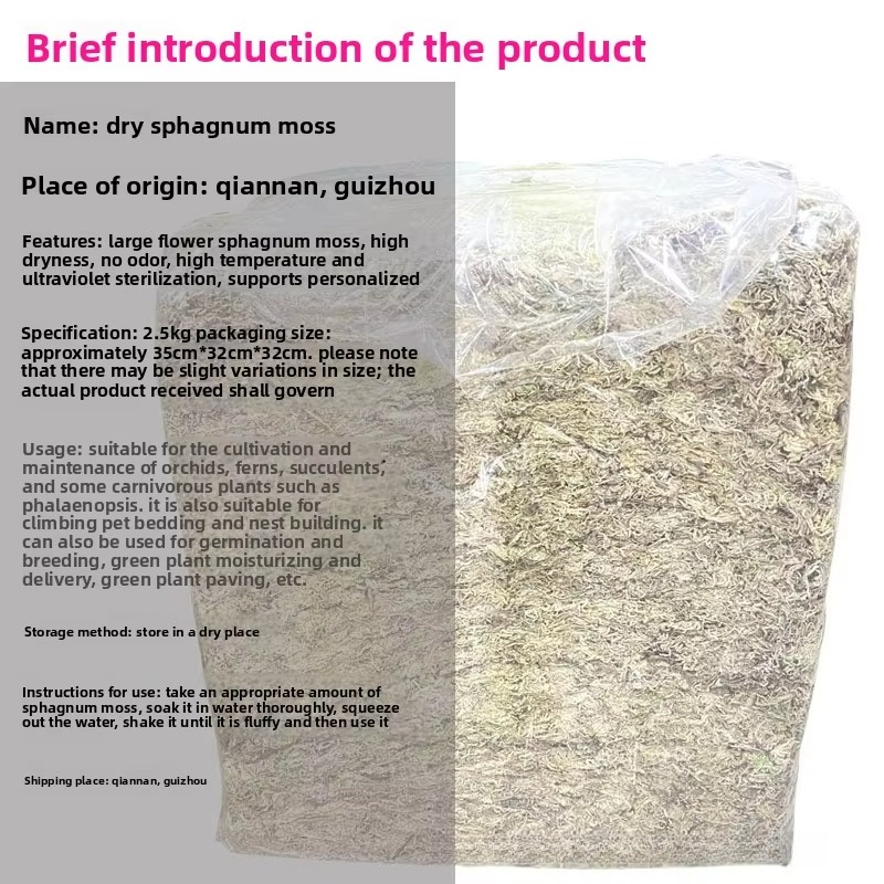 Sphagnum Moss 2.5kg Bulk Compr - Sphagnum Moss Dry ulasan dan harga