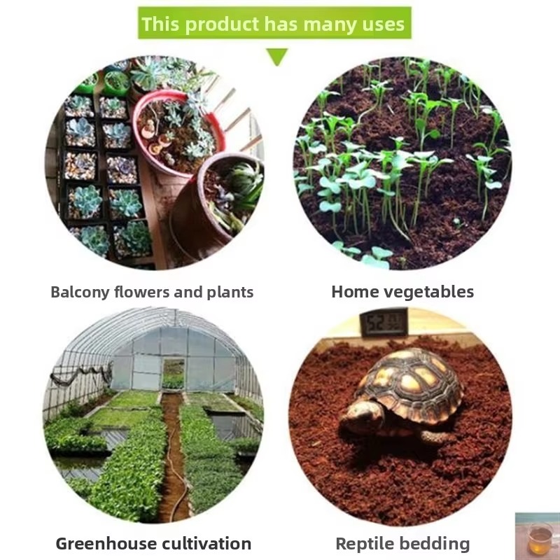 Reptile Bedding Compressed Coc - Sphagnum Moss Dry ulasan dan harga