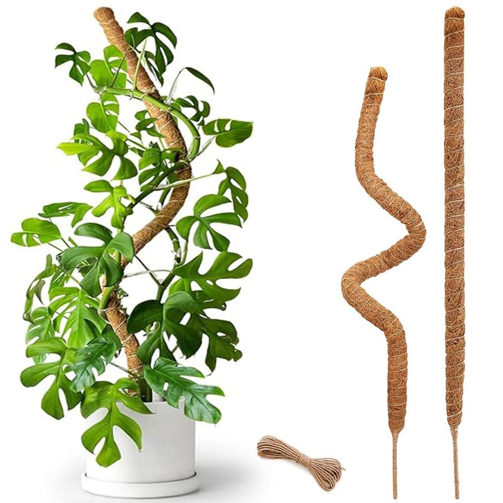 Plant Support Bendable Moss Po - Sphagnum Moss Dry ulasan dan harga